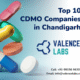 Top 10 CDMO Companies in Chandigarh